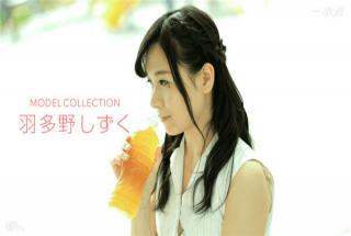 1Pondo 101217_591 Hagano Toride Debut Model Collection Shizuku Hino Shino