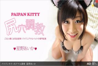 1pondo 013113_523 Aika Hoshino Paipan Kitty Anal Training
