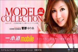 1pondo 090111_000 Yuria Kanno Model Collection Special Edition
