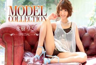 1pondo 123115_219 Model Collection Special Risa Mizuki