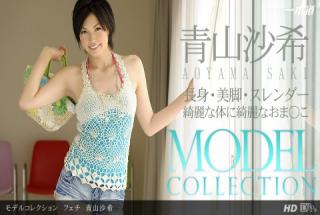 1pondo 081413_001 Saki Aoyama Model Collection Fetish Saki Aoyama